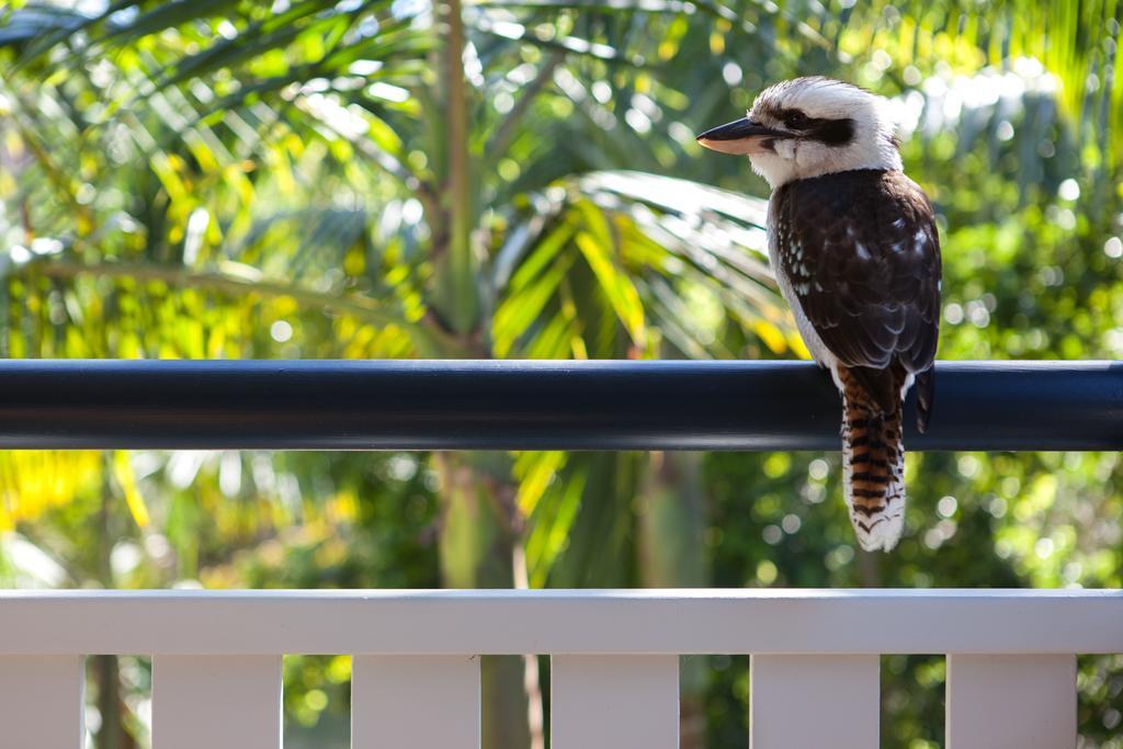 Cavvanbah Beach House Byron Bay Zewnętrze zdjęcie